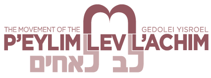 Lev L'Achim logo